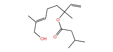 8-Hydroxylinalyl 3-methylbutyrate